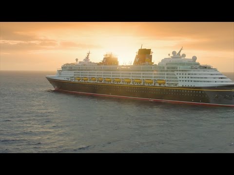 What's New with Disney in 2017